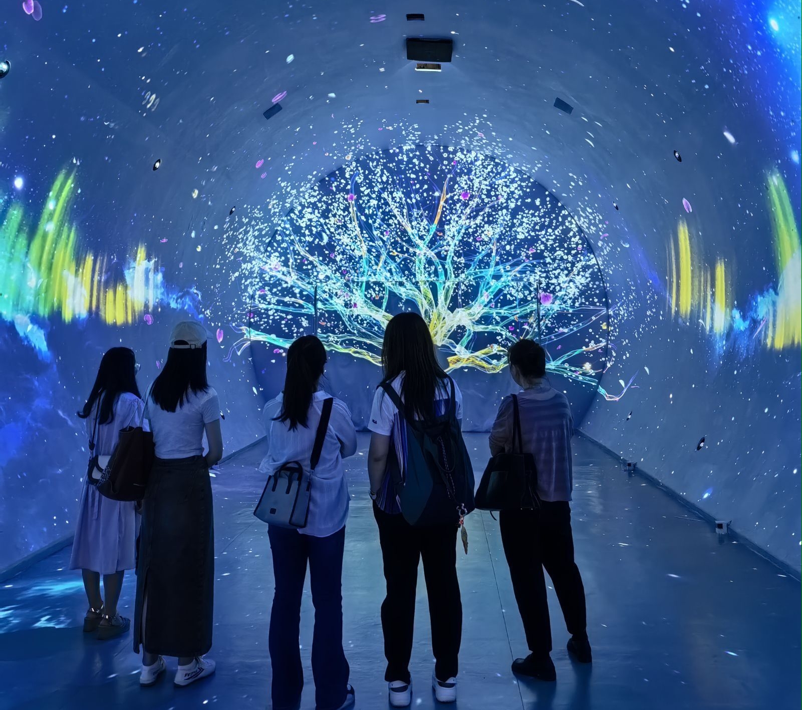 202407020936079322.png 202407020936079322.png